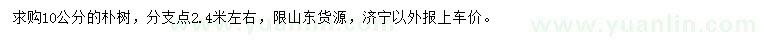 求購(gòu)10公分樸樹