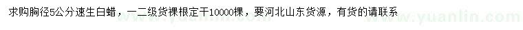 求購胸徑5公分速生白蠟