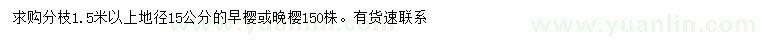 求購(gòu)地徑15公分早櫻或晚櫻