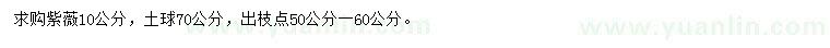 求購(gòu)10公分紫薇