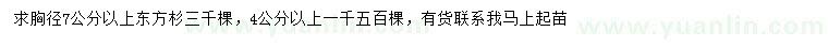 求購胸徑7公分以上東方杉