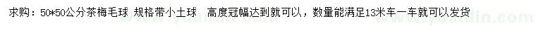 求購50*50公分茶梅毛球