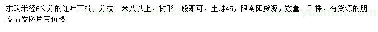 求購(gòu)米徑6公分紅葉石楠