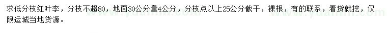 求購地面30公分量4公分紅葉李