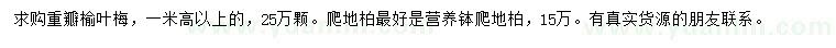 求購(gòu)高1米以上重瓣榆葉梅