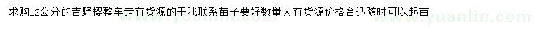 求購12公分吉野櫻