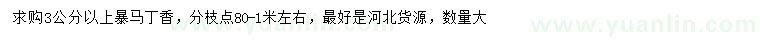 求購3公分以上暴馬丁香