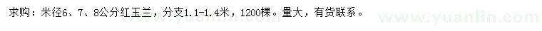 求購米徑6、7、8公分紅玉蘭