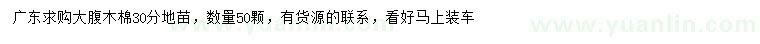 求購(gòu)30公分大腹木棉