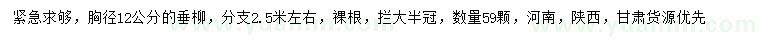 求購12公分垂柳