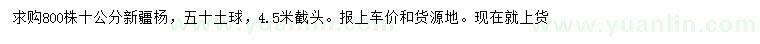 求購10公分新疆楊