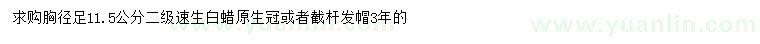 求購(gòu)胸徑足11.5公分速生白蠟