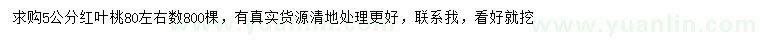 求購5公分紅葉桃