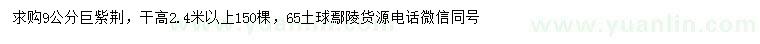 求購9公分巨紫荊