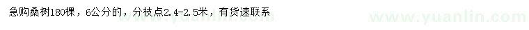 求購6公分桑樹