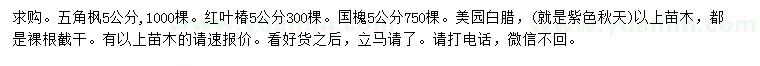 求購五角楓、紅葉椿、國槐等