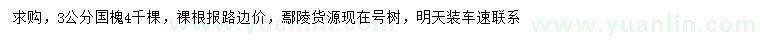 求購(gòu)3公分國(guó)槐