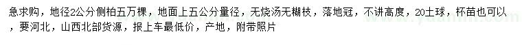 求購(gòu)地徑2公分側(cè)柏