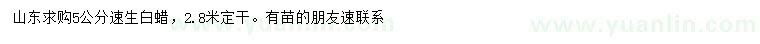 求購5公分速生白蠟
