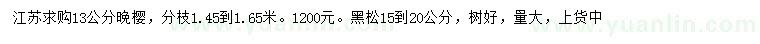 求購13公分晚櫻、15-20公分黑松
