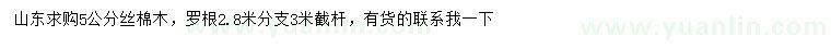 求購5公分絲棉木