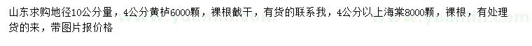 求購地徑10量4公分黃櫨、4公分以上海棠