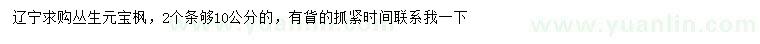 求購(gòu)叢生元寶楓