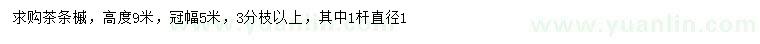 求購(gòu)高9米茶條槭