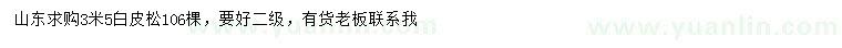 求購3.5米白皮松