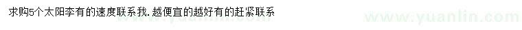 求購5公分太陽李