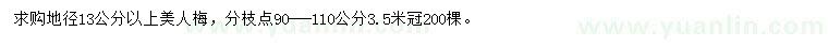 求購地徑13公分以上美人梅