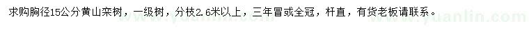 求購胸徑15公分黃山欒樹