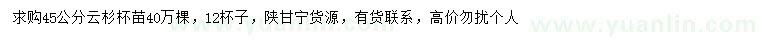 求購45公分云杉
