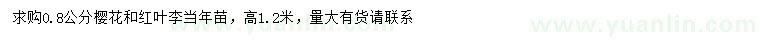 求購當年生櫻花、紅葉李