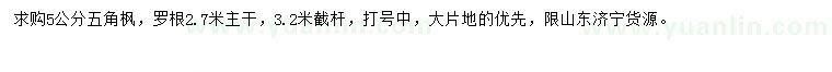求購5公分五角楓
