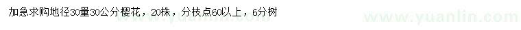 求購地徑30量30公分櫻花