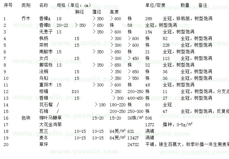 求購香樟、無患子、楓楊等