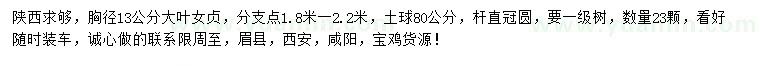 求購胸徑13公分大葉女貞
