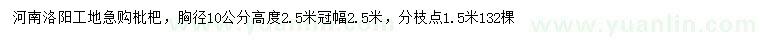 求購(gòu)胸徑10公分枇杷