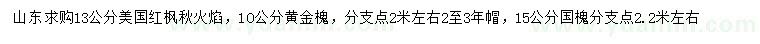求購美國(guó)紅楓秋火焰、黃金槐、國(guó)槐