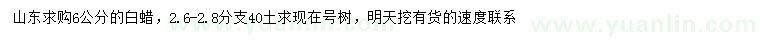 求購(gòu)6公分白蠟