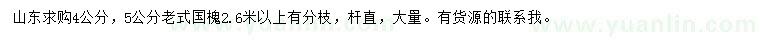 求購4、5公分老式國槐