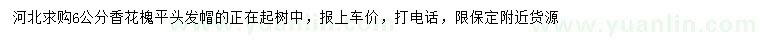 求購(gòu)6公分香花槐