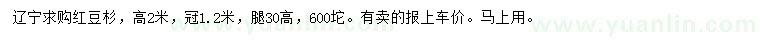 求購(gòu)高2米紅豆杉