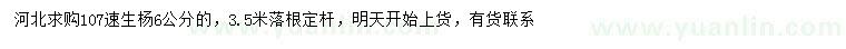 求購6公分107速生楊