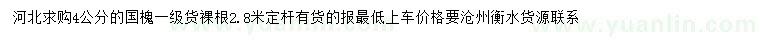 求購4公分國槐