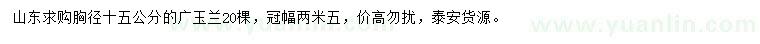 求購胸徑15公分廣玉蘭