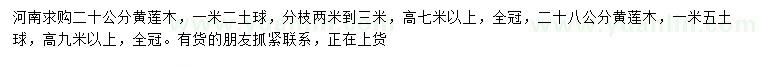 求購20公分黃連木