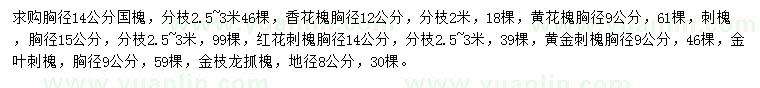 求購國槐、黃花槐、刺槐等