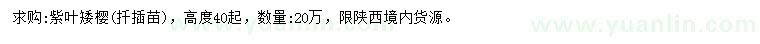 求購高40公分以上紫葉矮櫻